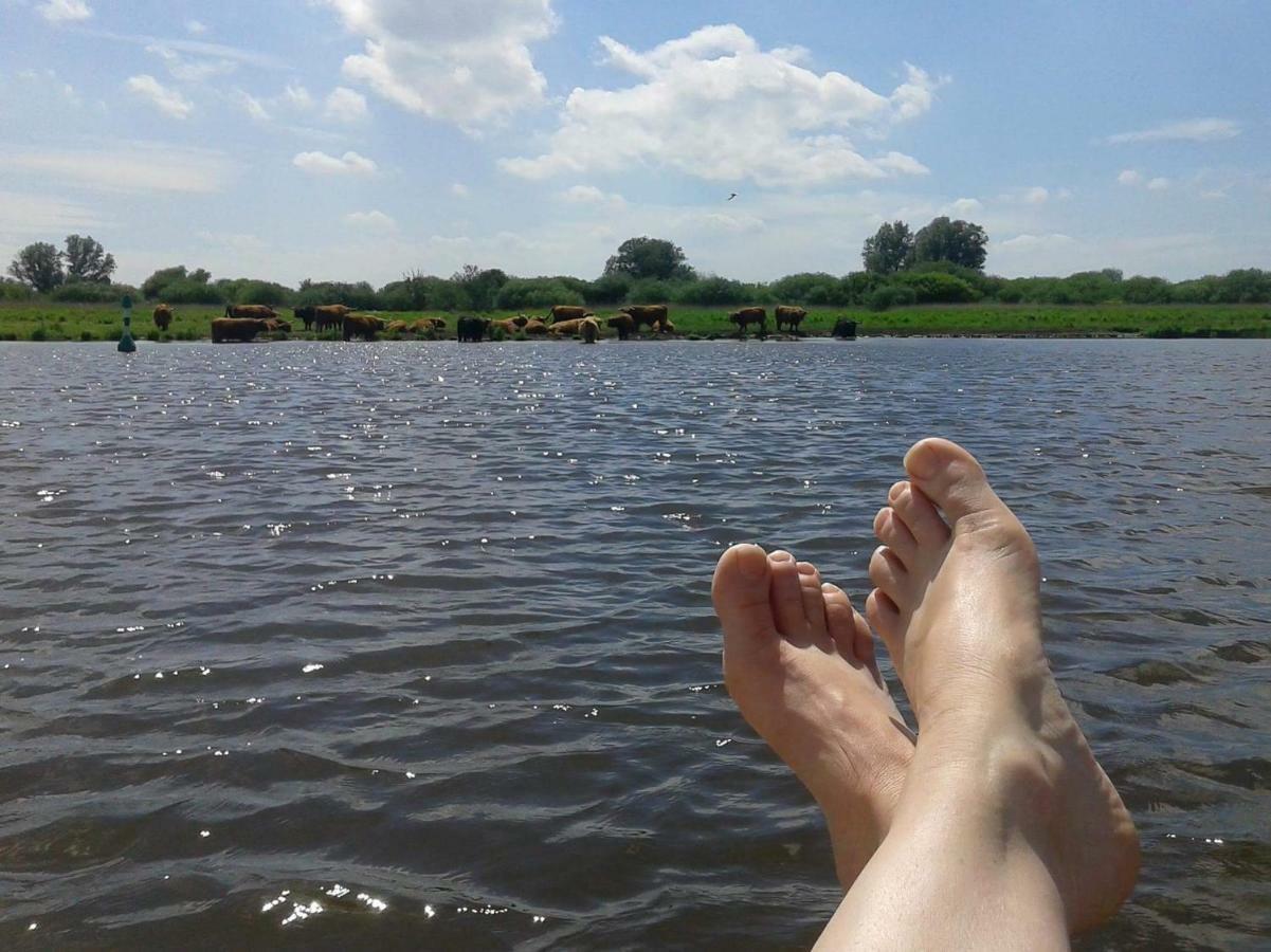 Lauwerzijl Bed En Breakfast Uitrust מראה חיצוני תמונה